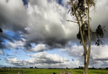 上海五星体育手机端能免费看直播吗？怎么操作？