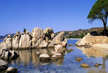 2024全国女排冠军赛最新战况如何？各队表现有哪些亮点？